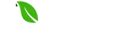 G-Fresh